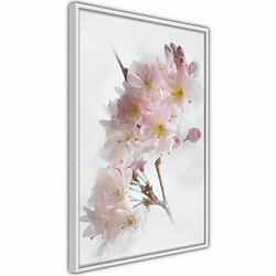 Paris Prix Affiche Murale Encadrée Scent of Spring 20 x 30 cm Blanc