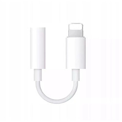 GUPBOO Adaptateur Lightning Mini Jack pour iPhone,JL447