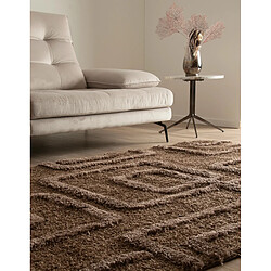 Acheter Hadorn Tapis shaggy 305x240 marron foncé Thun Artem