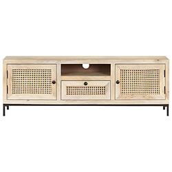 Maison Chic Meuble TV scandinave - Banc TV pour salon 120x30x40 cm Bois de manguier et canne naturelle -MN35561