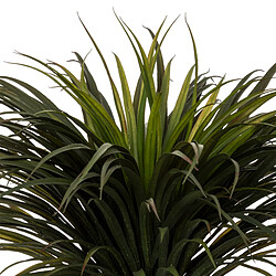 Atmosphera, Createur D'Interieur Palmier Yucca tropical H150 cm - ATMOSPHERA