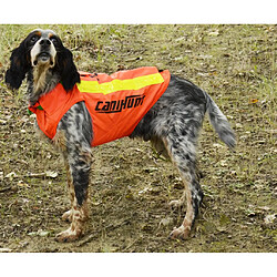 Accessoires chien de chasse