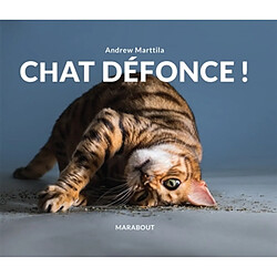 Chat défonce ! - Occasion