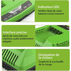 Chargeur de Batterie 24 V pour Greenworks Tools 24 V Compatible avec Toutes Les Batteries de la série Greenworks 24 V 2A pas cher