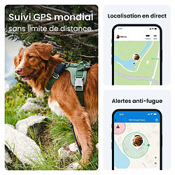 Tractive GPS Dog 4. Collier GPS pour Chien. Ne perdez Plus Votre Chien. Gardez-Le en Forme avec Le Suivi d'activité. Portée illimitée. (Bleu Nuit)