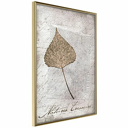 Paris Prix Affiche Murale Encadrée Dried Leaf 20 x 30 cm Or