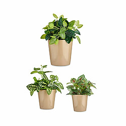 Ibergarden Set de pots Ø 14 cm Ø 22 cm Ø 17 cm Cónica 3 Pièces Beige