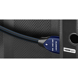 Audioquest Blueberry HDMI - Câble HDMI de 0,6 m