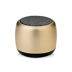 Universal Mini canon portable en haut-parleur Bluetooth en métal