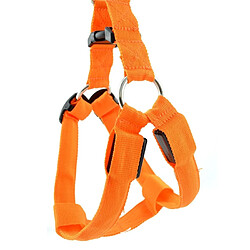 Wewoo Laisse pour chien en nylon de sangle de poitrine de de chat de harnais à double face chienstaille L Orange