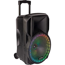 Party Light & Sound 15-6115PLS Enceinte portable 12 / 30 cm - USB, Micro SD, BT, FM, Micro VHF & télécommande