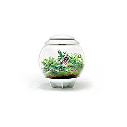 Avis Terrarium décoratif 60l avec cadre blanc - Air 60 white - OASE