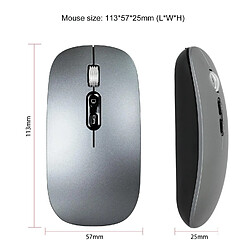 Yonis Souris Sans Fil Rechargeable 1600DPI