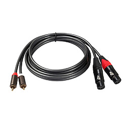 Câble Double XLR vers RCA