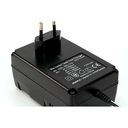 Acheter Chargeur automatique pour batterie au plomb 2-24V (2Ah – 24 Ah) - ANSMANN ALCS 2-24A - Réglage automatique du voltage de la batterie au plomb (2V / 6V / 12V / 24V)