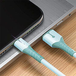 Avis Cables X2 USB-Type C Charge Rapide 3A Silicone Bleu 2m Pour Smartphone Xiaomi / Oppo / Vivo / Realme / Pixel Little Boutik®