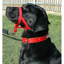 Halti Licol Educatif Anti-Traction Dressage pour Chien Taille 3 Rouge pas cher