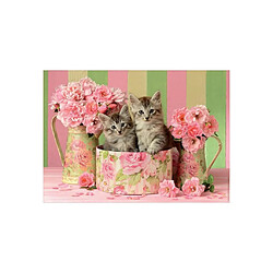 Educa Borras EDUCA PUZZLE 500 CHATONS AVEC DES ROSES