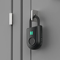 Acheter Igloohome Padlock Lite Black