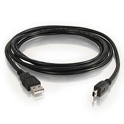 Cables To Go C2G Câble USB 2.0 A vers mini-B de 1 M