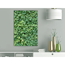 Artgeist Tableau - Thick Ivy (1 Part) Vertical [20x30]