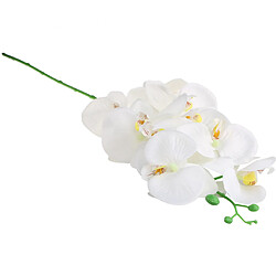 Phaleanopsis artificielle 9 tête décorative orchidée fleur Bonsaï blanc