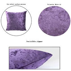 Acheter 50x50cm courte housse de coussin velours peluche carré pour canapé violet foncé