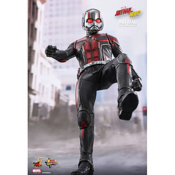 Avis Hot Toys MMS497 - Marvel Comics - Ant-Man 2 : Ant-Man And The Wasp - Ant-Man