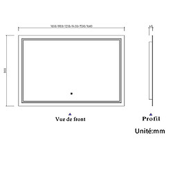 Acheter Miroir de salle de bain avec lumières Led 100x80cm (LxH)