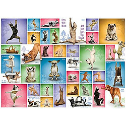 Eurographics Puzzle 1000 piAces chiens de yoga