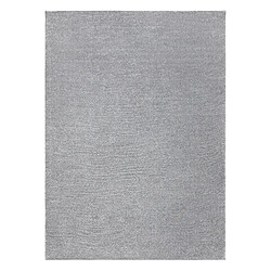 Avis RUGSX Tapis SOFTY plaine couleur unie gris 200x290 cm