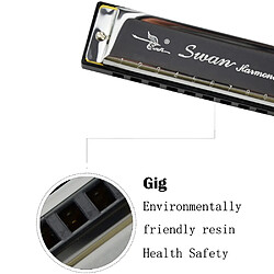 Avis Wewoo Swan 10 trous Full-scale Bruce Harmonica Débutant Enfants Adulte Jouant des Instruments de Musique