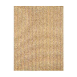 Avril Paris Tapis extérieur - 120x170cm - naturel - 100% polypropylène résistant aux UV - 1400 gr/m2 - POLLY