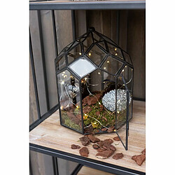 Paris Prix Terrarium en Verre Vintage Brisla 38cm Noir pas cher