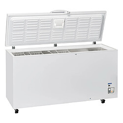 COOLHEAD Congélateur Bahut Professionnel - 600 L - Cool Head