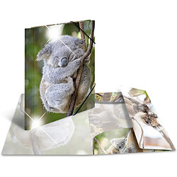 HERMA Chemise à élastiques 'koala', PP Glossy, A4 ()