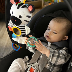 Avis Tommee Tippee BABY EINSTEIN be playful pal