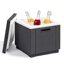 Avis Keter Glacière Ice Cube Graphite