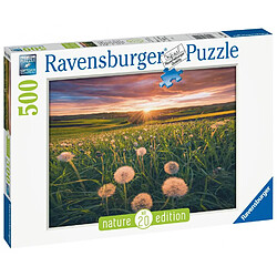 Ravensburger Puzzle 500 p - pissenlits au crépuscule