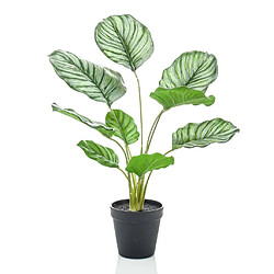 Emerald Calathea Orbifolia artificiel 45 cm en pot