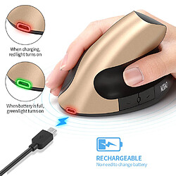 Universal Souris ergonomique rechargeable 2.4G sans fil 6 boutons verticaux 1600dpi réglable Ordinateur portable PC Souris à batterie en or