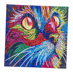 Avis Peinture de diamant spécial en forme d'image animale bricolage Home Decor Coloful Cat 2