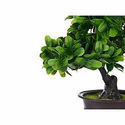 Avis Ibergarden Plante décorative Bonsai Plastique 27 x 28 x 14 cm (8 Unités)