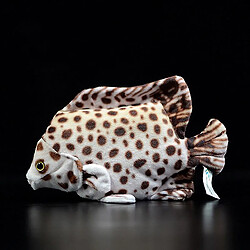 Universal Peluche poisson tropical