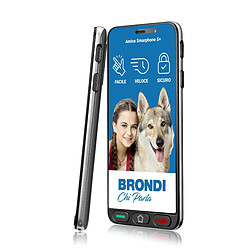 Brondi 10279080 smartphone 14,5 cm (5.7') Double SIM Android 12 Go edition 4G USB Type-C 2 Go 16 Go 2800 mAh Noir