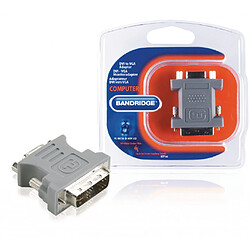 Alpexe Adaptateur DVI DVI-A 12+5p Mâle - VGA Femelle Gris