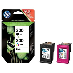 HP 300 Pack 2 Cartouches Noir et couleurs CN637EE