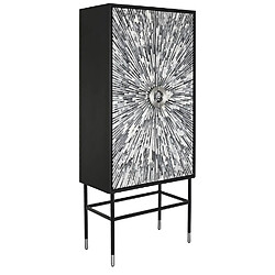 Pegane Armoire de rangement avec 2 portes en résine/ bois MDF coloris noir/gris - Longueur 75 x Profondeur 40 x Hauteur 181 cm