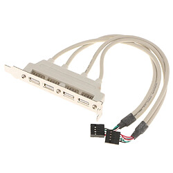 Double Tête De Carte Mère 10pin vers 4 Port USB 2.0 Câble d'Extension De Fente De Panneau Arrière pas cher