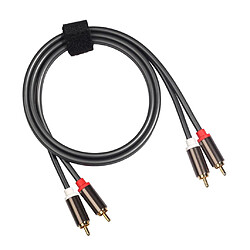 Avis Câble audio 2RCA à 2RCA mâle à mâle pour amplificateur 1m DVD Home Theater